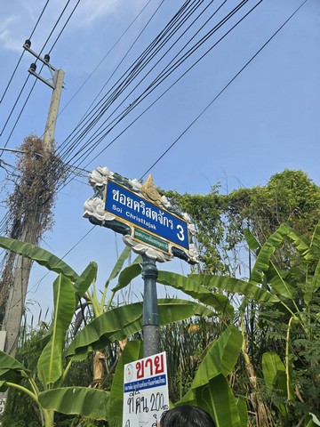ขาย บ้านเดี่ยว Luxury-detached-house-for-sale, บ้านเดี่ยวหรู2ชั้นพร้อมสระว่ายน้ำสุขุมวิท rightintheheartofSukhumvit in-Sukhumvit71,SoiPridiBanomyong26 Luxury-detached-house-for-sale,