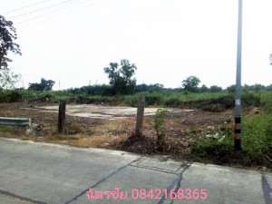 ที่ดิน ขาย เหมาะจัดสรรแบ่งขาย, โครงการเชิงพาณิชย์ ที่ดินธัญบุรีคลอง6,หรือปทุมธานี ขายถูก เหมาะทำหมู่บ้านจัดสรร