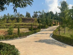 ขาย ที่ดิน Durian-Farm-Investment-Chanthaburi- ลงทุนทุนสวนเรียน-จันทบุรี-รับรายได้ทันทีจากผลผลิต CheaperthanOthersbyMillions- 泰国榴莲果园投资 泰国尖竹汶府榴莲果园投资立即